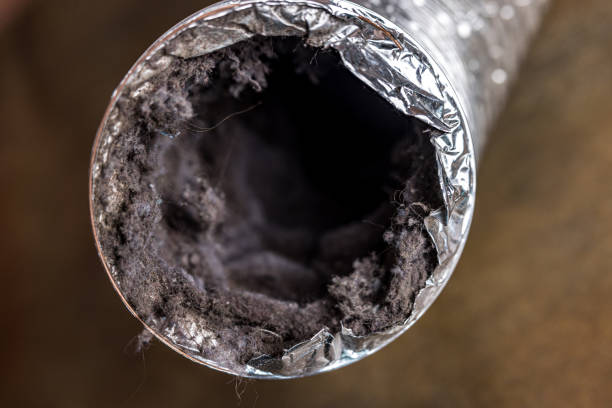 Best Residential Air Duct Cleaning  in Rogersville, MO